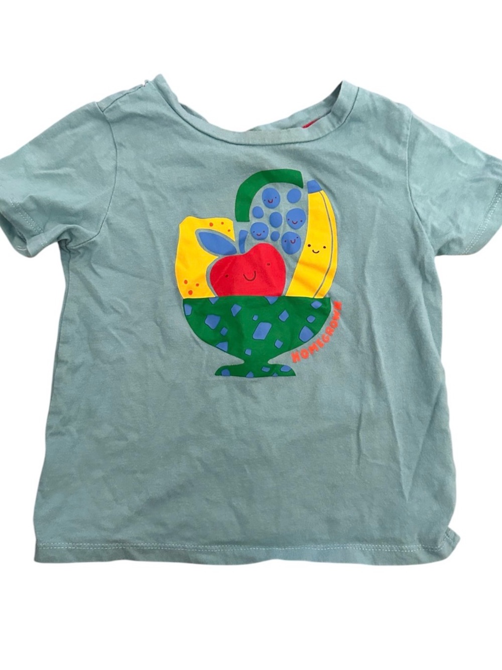 Blue Fruit Graphic Tee 2T